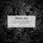 LITTLE TREES Black Ice Car Air Freshener Pack