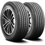 MICHELIN Defender LTX M/S All-Season Tire 245/55R19