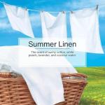 LITTLE TREES Summer Linen Car Air Fresheners - 6 Pack