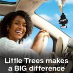 LITTLE TREES Black Ice Car Air Fresheners - 24 Pack