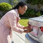 Fashion Super Slim Matte Pink License Plate Frames,Exclusive License Plate Covers,Weather Proof License Plate Holder for Women(2 Frames Pink)