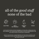 Drift on Amazon Stone Air Freshener Starter Kit- Open Air