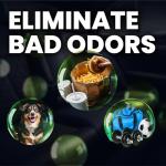 LANE’S Premium Car Air Freshener "New Car" - 1oz Water-Based, Long-Lasting Auto Scent Spray - Food, Pet, Odor Smell Deodorizer for Cars, Trucks, SUVs' Interior Leather, Carpet, Upholstery