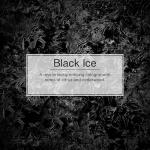 CAR AIR FRSH SPRAY BI