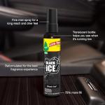 CAR AIR FRSH SPRAY BI