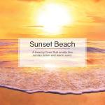 Little Trees Car Air Freshener 6-Pack (Sunset Beach)