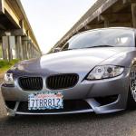 Hawaiian Flower Hibiscus License Plate Frames, Rust-Proof Stainless Steel Screws, Caps Included Personalized Cover for Women and Men Decorate Car with 12.3x6.3 Inch License Plate Holder -DATANSEN