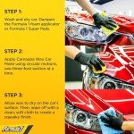 Formula 1 8 oz. Car Wax for Shine