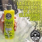 Citrus Foaming Car Wash Soap - 16 fl oz
