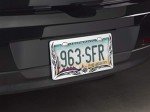 Tribal Design Universal License Plate Frame
