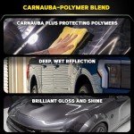 Meguiar's Gold Class Carnauba Plus Wax & Applicator