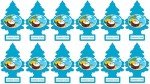 LITTLE TREES Caribbean Colada Car Air Fresheners - 12 Pack