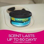 California Scents Air Freshener Set - 12 Cans
