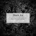 LITTLE TREES Black Ice Car Air Freshener Pack