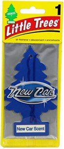 LITTLE TREES Hanging Car Air Freshener - 2 Pack