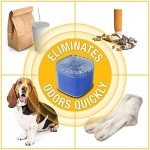 ARM & HAMMER Gel Air Freshener, New Car