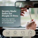 Black Vanilla & Mandarin Non-Toxic Car Air Freshener