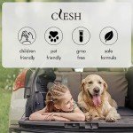 Peach Berry Car Air Fresheners, 6-Pack