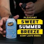 Meguiar's Whole Car Air Refresher - Summer Breeze
