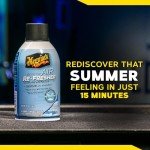 Meguiar's Whole Car Air Refresher - Summer Breeze