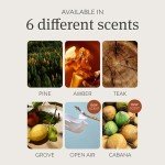 Drift Car Air Freshener - Amber Scent Starter