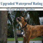 Portable GPS Tracker for Cars, Kids, and Pets