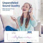 Syncwire 3.3ft Braided Aux Cable for Audio