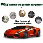 Black Gold Car Wax with Free Applicator Sponge