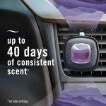 Febreze Car Air Freshener Vent Clips - Mountain Scent