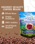 Subtle Earth Organic Coffee - Light Roast - Whole Bean Coffee - 100% Arabica Beans - Low Acidity and Non-GMO - 2lb bag