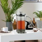 GROSCHE MADRID French Press - Premium Coffee and Tea Maker - 0.35L - 11.8oz - Borosilicate Glass Beaker - Dual Filter System For Rich Brew - Versatile Brewing | Stainless Steel Filter