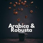 Trung Nguyen Espresso Whole Bean Coffee - Arabica & Robusta - Espresso Coffee Innovator - 1 Bag (17.6oz)