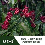 VIXI Coffee Bean Arabica, 32 Ounce, Medium Roast, Whole Beans, Full Coffee Beans, Smooth and Balanced Taste, 100% Natural Vietnamese Coffee for Hot and Cold Brew
