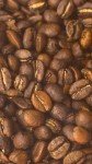 Cafe Quindio Gourmet - Medium Roast 100% Colombian Excelso Whole Bean Arabica Coffee - 16 Ounce Bag (454g)