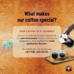 Saigondan Whole Bean Coffee - Adventure | Light Espresso Roast | 100% Robusta | Vietnamese Single Origin | Roasted in Small Batch | Smooth & Naturally Sweet | Direct Trade | No Preservatives | 12 Oz