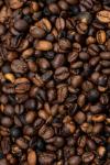 100% Pure Excelsa Coffee Beans. Not Arabica. Not Robusta. Excelsa Coffee Whole Beans Medium Roast from Philippines. 12oz. Tart and Fruity, Naturally Half-Caffeinated.