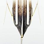 Ayevision 100Pcs Portable Coffee Filter Paper Hanging Ear Drip Coffee Bag Single Serve Disposable Drip Coffee Filter Perfect for Travel, Camping, Home, Office