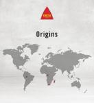 Café Delta Whole Roasted Coffee Beans 250g