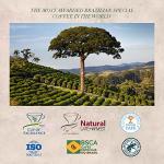 ORFEU 100% Arabica Medium Roast Coffee Beans