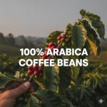 BUSHIDO Red Katana premium arabica whole coffee beans, 2.2 pound (1000g), medium roast