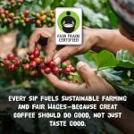 Punk Bunny Dark Roast Coffee Pods - 10 Count