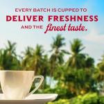 Lion Coffee, Arabica Coffee Beans, Light Roast Whole Bean Coffee, Vanilla Macadamia Flavor, A Taste of Aloha, 24 Ounce Bag