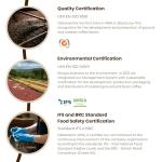 Danesi Caffe Italian Whole Coffee Beans - Espresso Coffee Beans and Medium Roast Whole Bean - Perfect for Espresso Machines, French Press, and Home Brewing - Doppio (4.5 lb)