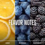 Yirgacheffe Coffee Beans - 453g Etiope Caffè