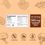 Mushroom Coffee (60 Servings) 10 Mushrooms (Lion’s Mane, Cordyceps, Turkey Tail & Other) Mixed With Gourmet Arabica Instant Immune Boosting Coffee for Focus & Gut Health Support