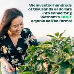 Copper Cow Premium Vietnamese Whole Bean Coffee, 12 OZ | Organic Classic | Dark Roast | Vietnamese Coffee