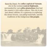 Cafely BanMe - Peaberry Robusta Whole Bean Vietnamese Coffee – Dark Roast, High Caffeine (Bold & Intense), Low Acid, Single Origin, High Antioxidants, Direct Trade, For Phin, French Press, Pour Over, 12 oz