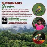 Low Acid Organic Coffee – Whole Bean, Mold-Free & Stomach Friendly by Java Planet, Guatemalan Single Origin Coffee, Medium Roast, Smooth Full Flavored, Smithsonian Bird Friendly, 1LB Bag