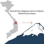 Salish Kinh Dark Lahar 12oz Whole Bean Coffee