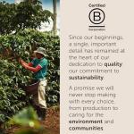 illy Arabica Selections Brasile - Cerrado Mineiro Whole Bean Coffee, Regenerative Agriculture Coffee, 8.8oz (Pack of 1)